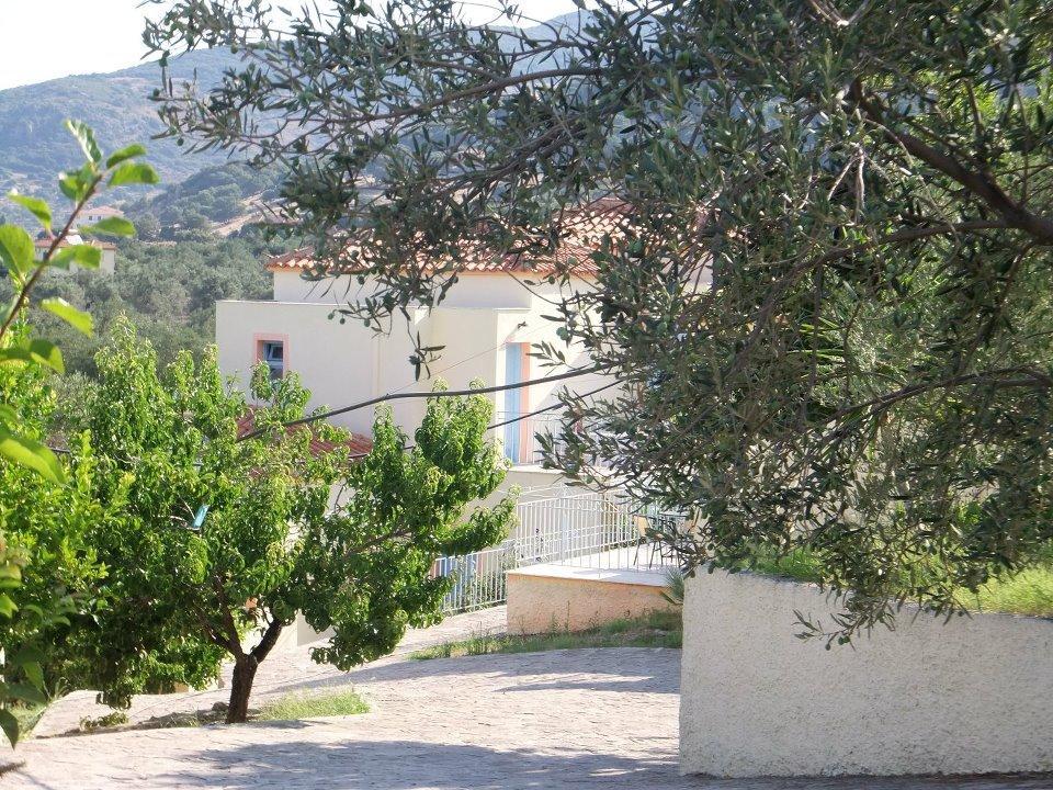 Lassia Studios Petra  Exteriör bild